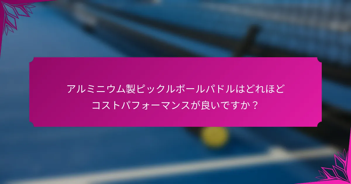 アルミニウム製ピックルボールパドルはどれほどコストパフォーマンスが良いですか？