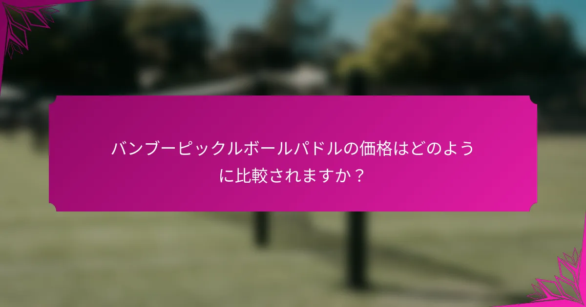 バンブーピックルボールパドルの価格はどのように比較されますか？