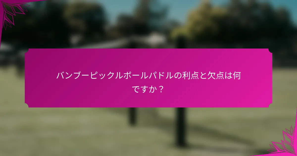 バンブーピックルボールパドルの利点と欠点は何ですか？