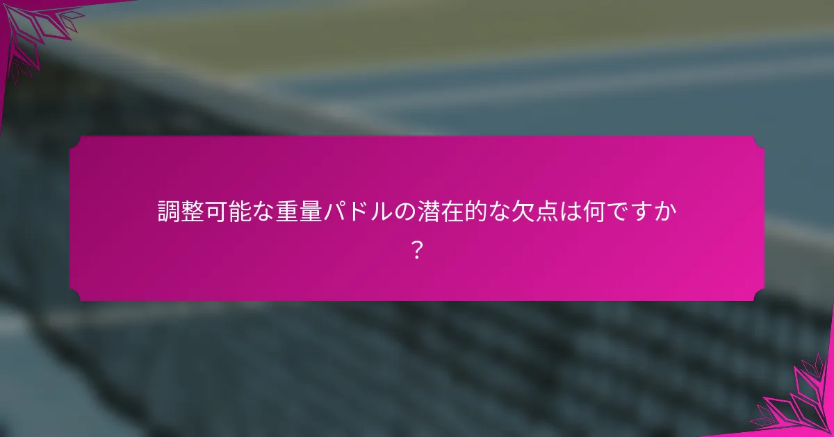 調整可能な重量パドルの潜在的な欠点は何ですか？