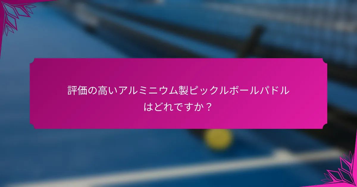 評価の高いアルミニウム製ピックルボールパドルはどれですか？